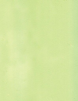 Панели стеновые "Мультиплит" 2500/3000*1200*125 мм Светло-зеленый Pantone