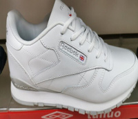 Кроссовки мужские Reebok classic белые р-р 41-46