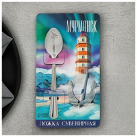 Ложка с гравировкой на открытке «Мурманск», 3 х 14 см (комплект из 13 шт) Семейные традиции