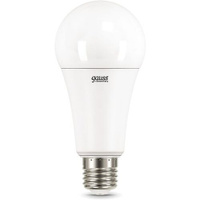 Упаковка ламп LED GAUSS E27, груша, 35Вт, A67, 10 шт. [70225]