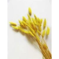Букет из сухих цветов Лагурус желтый h70 см Без бренда None
