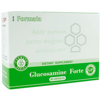 Глюкозамин / Glucosamine Forte 60 капс. Santegra
