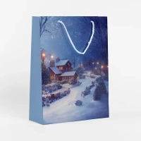 Пакет подарочный «Узоры» 36x26 см цвет голубой СИМФОНИЯ пакет подарочный